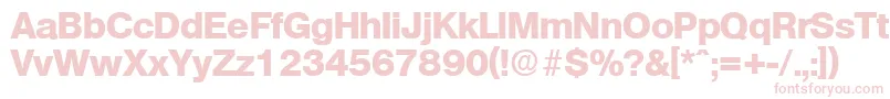 OlympiaExtrabold Font – Pink Fonts on White Background