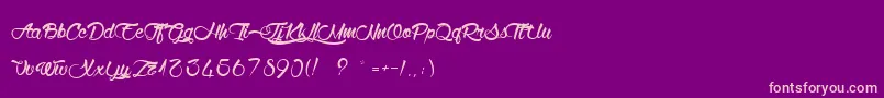 WolfInTheCity-Schriftart – Rosa Schriften auf violettem Hintergrund