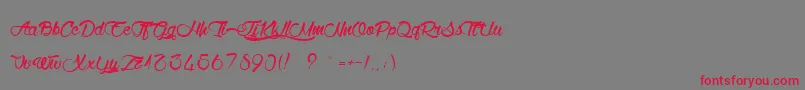 WolfInTheCity Font – Red Fonts on Gray Background