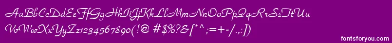 SecondRoad-Schriftart – Weiße Schriften auf violettem Hintergrund