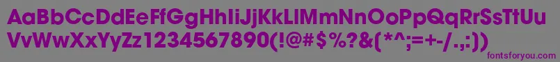 AvignonBoldRegular Font – Purple Fonts on Gray Background