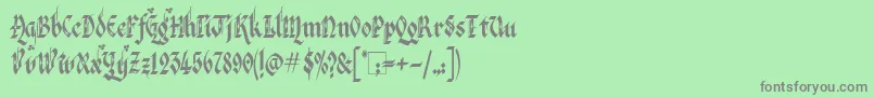VeronaGothicFlourishe Font – Gray Fonts on Green Background