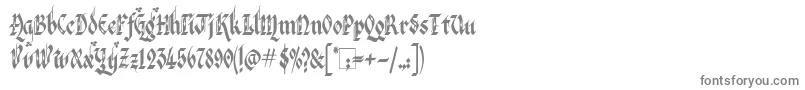 VeronaGothicFlourishe Font – Gray Fonts on White Background