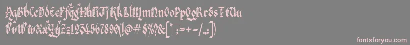 フォントVeronaGothicFlourishe – 灰色の背景にピンクのフォント