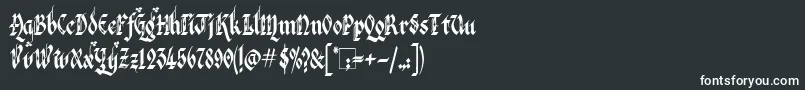 Шрифт VeronaGothicFlourishe – белые шрифты