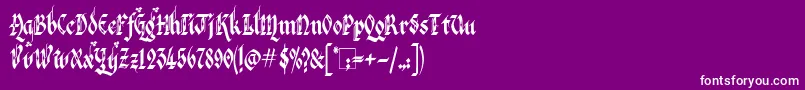 フォントVeronaGothicFlourishe – 紫の背景に白い文字