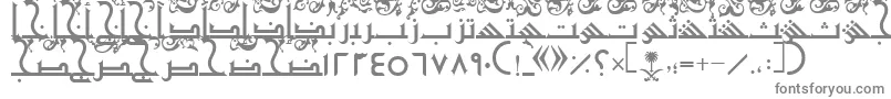 フォントAymShurooq21 – 灰色のフォント