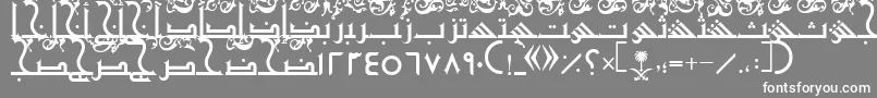 AymShurooq21 Font – White Fonts on Gray Background