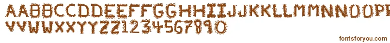 Шрифт PfVeryverybadfont20 – коричневые шрифты на белом фоне