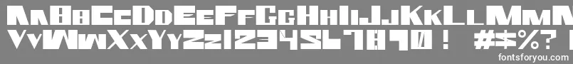 RammsteinSh2 Font – White Fonts on Gray Background