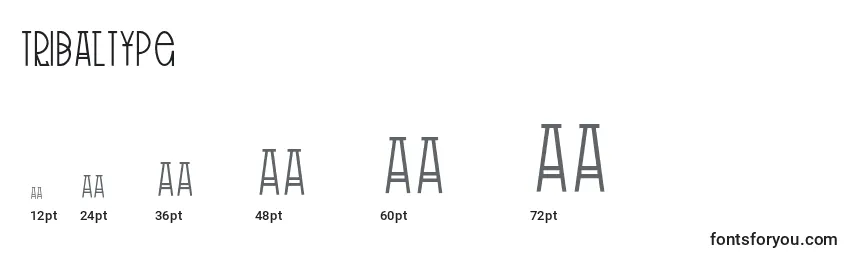 TribalType Font Sizes
