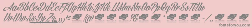 AngillatattooPersonalUseOnly Font – Gray Fonts on Pink Background