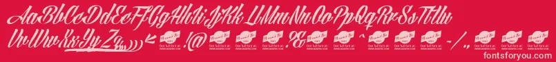 AngillatattooPersonalUseOnly Font – Pink Fonts on Red Background