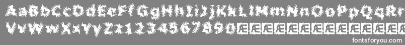 Inertia Font – White Fonts on Gray Background