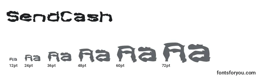 SendCash Font Sizes