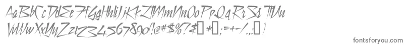 Dsstilltimec Font – Gray Fonts on White Background