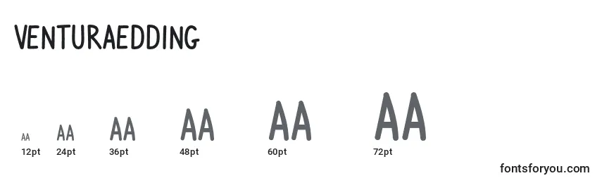 VenturaEdding Font Sizes