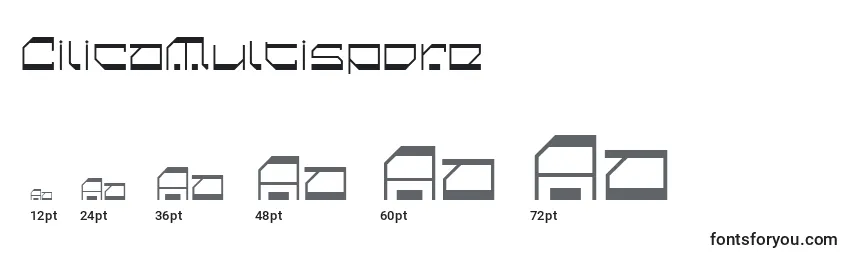 CilicaMultispore Font Sizes