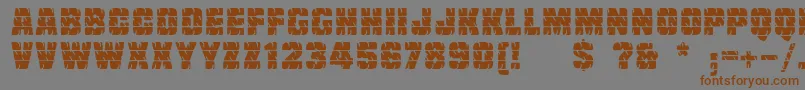 Linotypetruckz Font – Brown Fonts on Gray Background