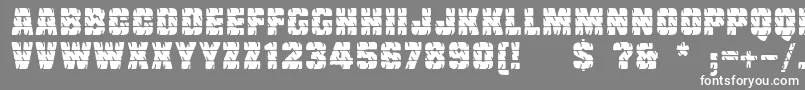 Linotypetruckz Font – White Fonts on Gray Background