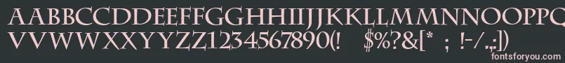 フォントFt23 – 黒い背景にピンクのフォント