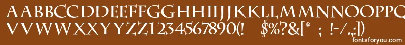 Шрифт Ft23 – белые шрифты на коричневом фоне