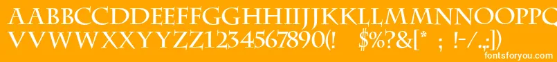 フォントFt23 – オレンジの背景に白い文字