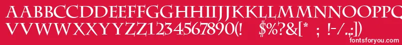 フォントFt23 – 赤い背景に白い文字