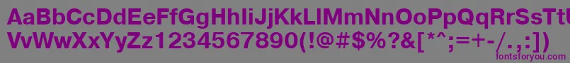 フォントPragmaticacttBold95b – 紫色のフォント、灰色の背景