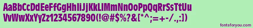 AntiqueolivestdBoldcond Font – Purple Fonts on Green Background