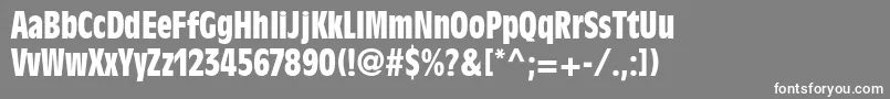 AntiqueolivestdBoldcond Font – White Fonts on Gray Background