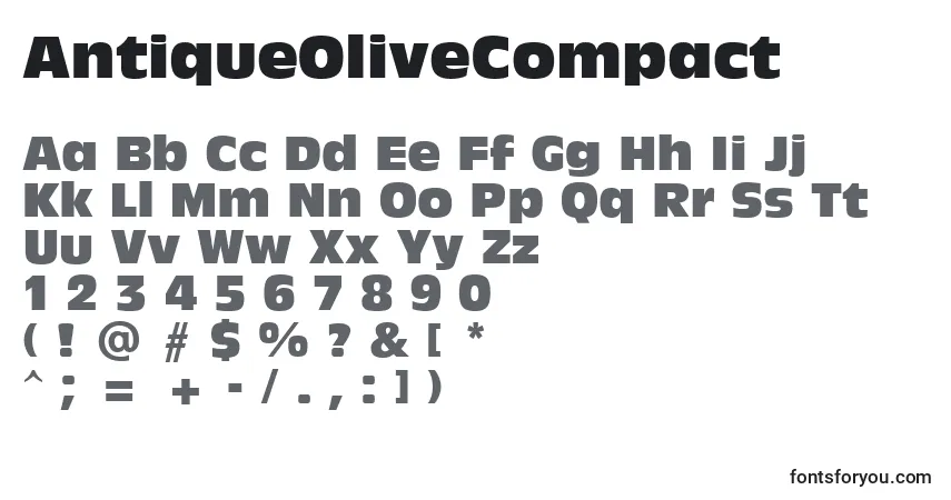 AntiqueOliveCompact-fontti – aakkoset, numerot, erikoismerkit
