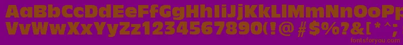 AntiqueOliveCompact Font – Brown Fonts on Purple Background