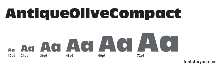 AntiqueOliveCompact Font Sizes