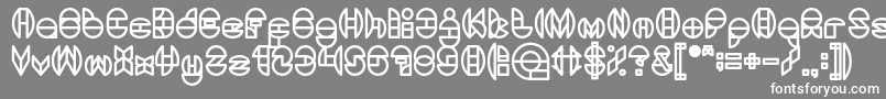 フォントDragonFlyBold – 灰色の背景に白い文字