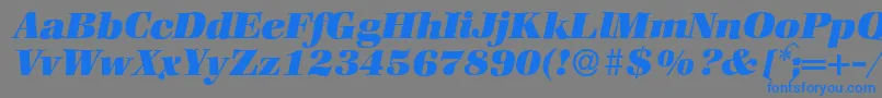 ZabriskiebookHeavyItalic Font – Blue Fonts on Gray Background