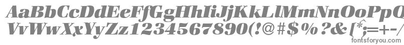 フォントZabriskiebookHeavyItalic – 白い背景に灰色の文字