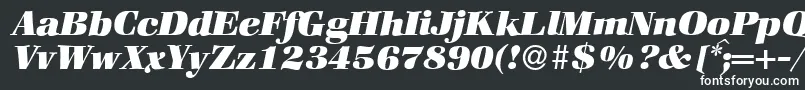 フォントZabriskiebookHeavyItalic – 白い文字