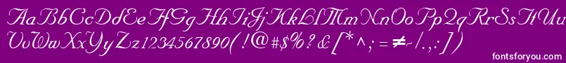 NeptunescriptRegularDb Font – White Fonts on Purple Background