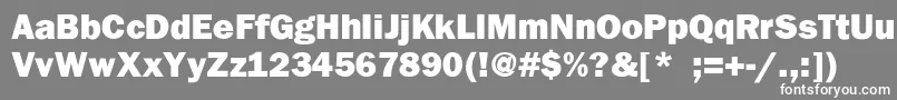 フォントBenjaminGothicHeavy – 灰色の背景に白い文字