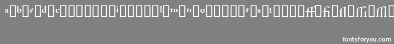 フォントCentaurExpertMtBold – 灰色の背景に白い文字