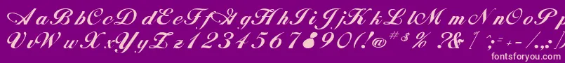 RimbooRegular Font – Pink Fonts on Purple Background
