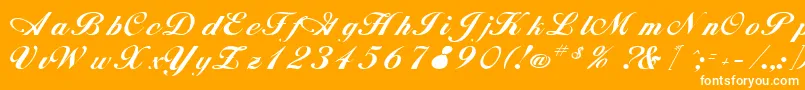 RimbooRegular-Schriftart – Weiße Schriften auf orangefarbenem Hintergrund