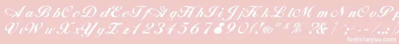 RimbooRegular Font – White Fonts on Pink Background