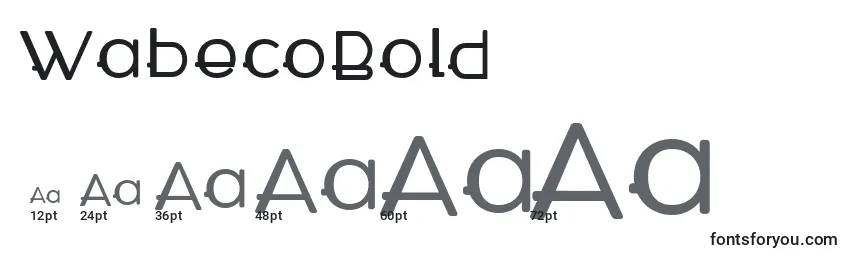 WabecoBold Font Sizes