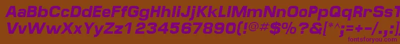 MinimaSsiBoldItalic Font – Purple Fonts on Brown Background