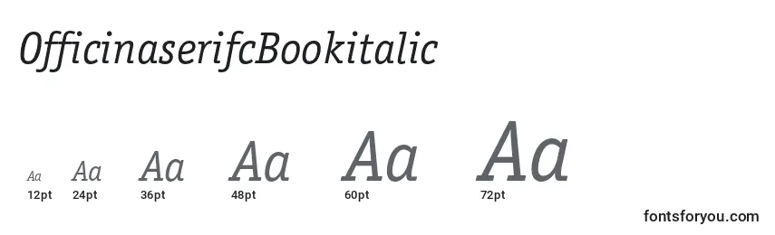Размеры шрифта OfficinaserifcBookitalic