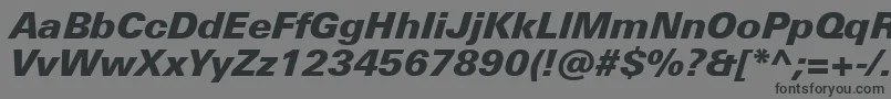フォントUniversNextProBlackItalic – 黒い文字の灰色の背景