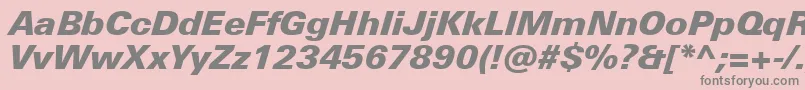More about UniversNextProBlackItalic Font UniversNextProBlackItalic Font – Gray Fonts on Pink Background