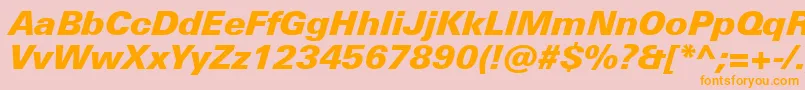 UniversNextProBlackItalic Font – Orange Fonts on Pink Background